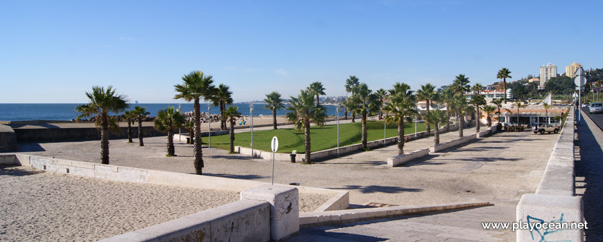 Palms, São Bruno Fort