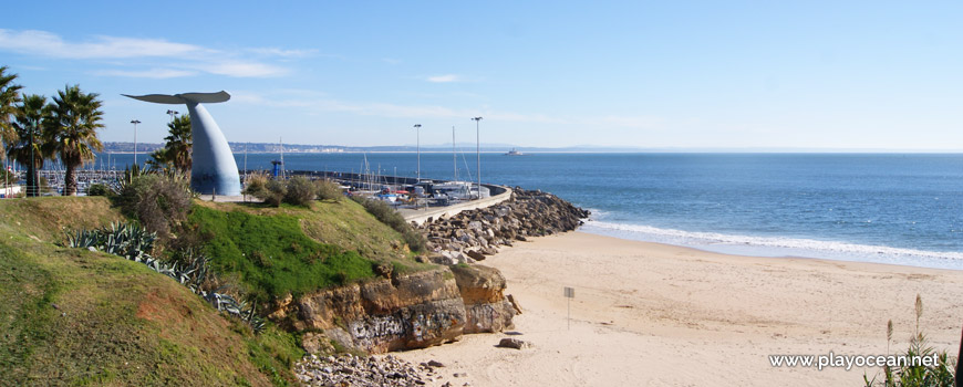 Blue wahles tail, Praia da Torre Beach