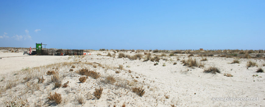 Dunes of Praia da Armona (Sea) Beach