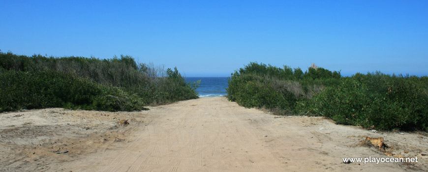 Access to Praia das Dunas de Ovar Beach