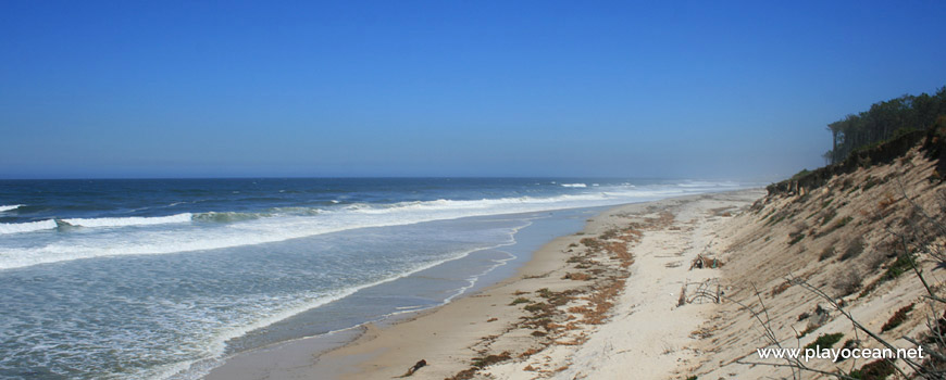 North of Praia das Dunas de Ovar Beach