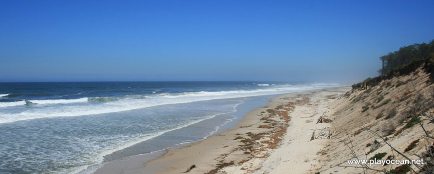 Norte da Praia das Dunas de Ovar