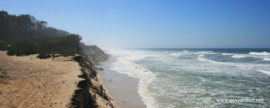 South of Praia das Dunas de Ovar Beach