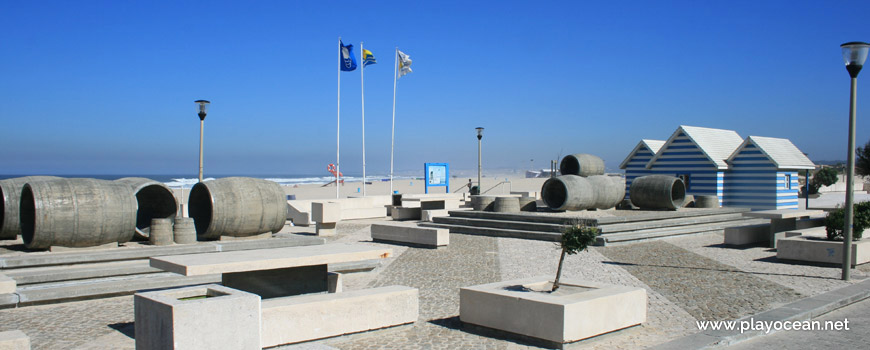 Cooper Monument at Praia de Esmoriz Beach