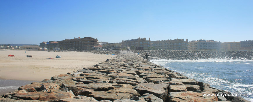 Houses of Praia de Esmoriz Beach