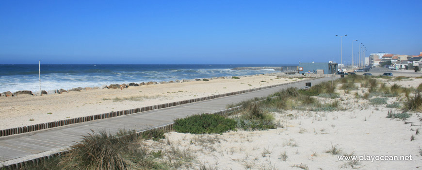 Dunas na Praia do Furadouro (Sul)