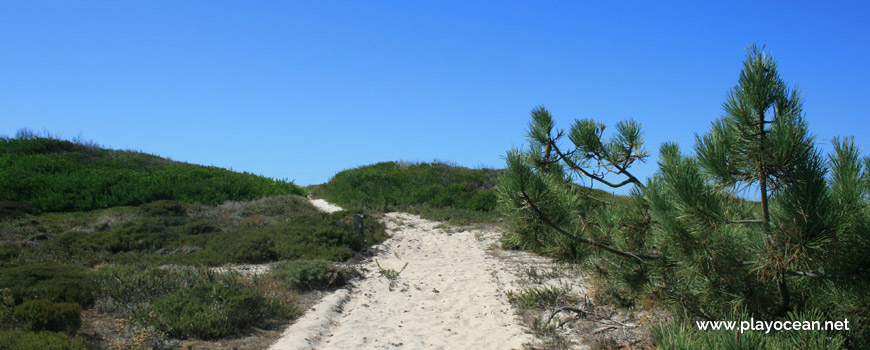 Road to Praia da Marreta Beach