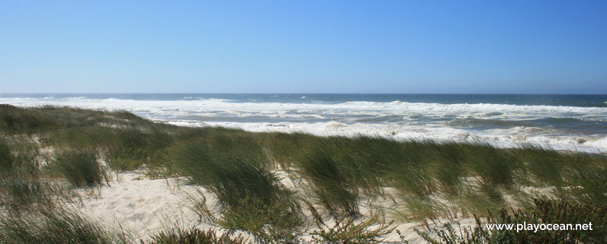 Dunes at Praia da Marreta Beach