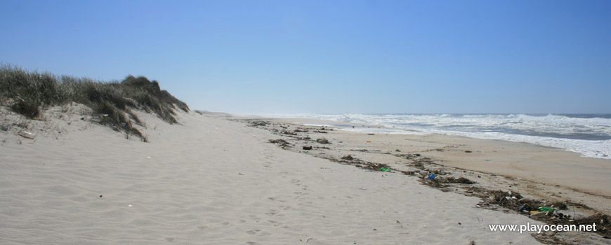 South of Praia da Marreta Beach