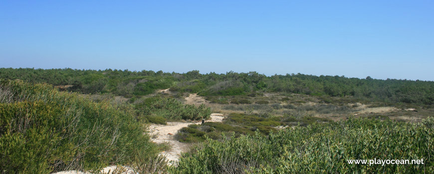 East of Praia da Marreta Beach