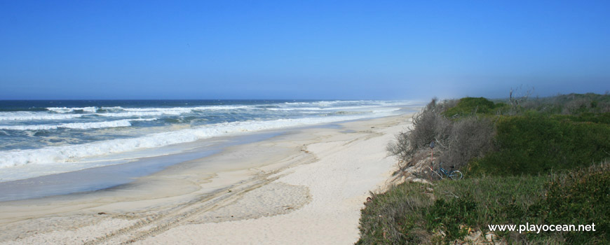 Norte da Praia de Torrão do Lameiro