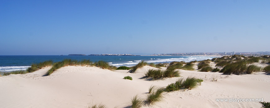 Dunas, Praia da Cova da Alfarroba