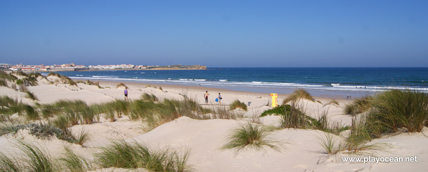 Dunes at Praia da Cova da Alfarroba Beach