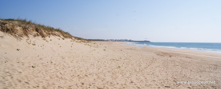 South at Praia do Medão Grande Beach