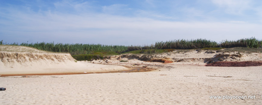 Stream at Praia de Point Fabril Beach