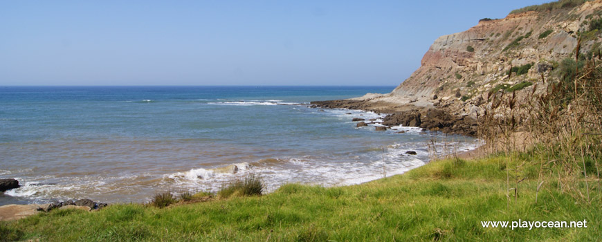 Grass at Praia de Vale Pombas Beach