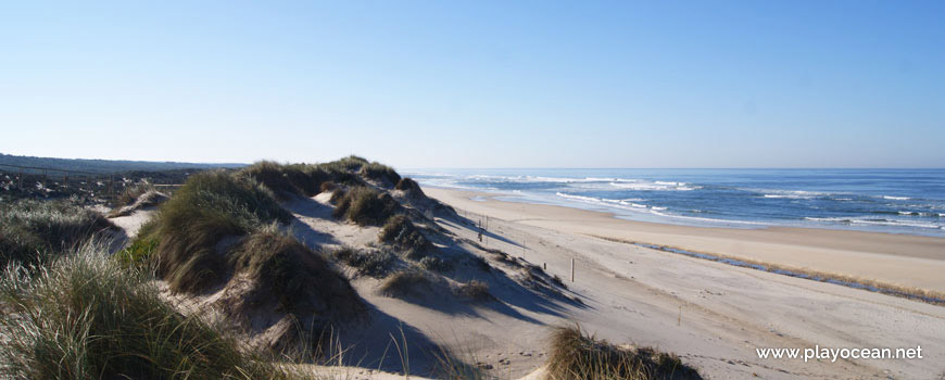 South of Praia do Osso da Baleia Beach