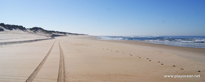 Praia do Osso da Baleia, Sul