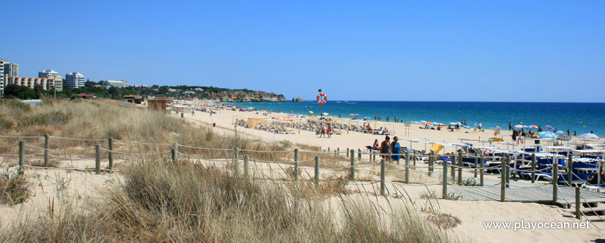 Dunes at Praia do Alvor (East) Beach