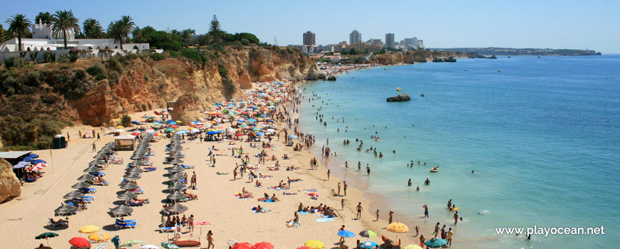 East at Praia do Barranco das Canas Beach