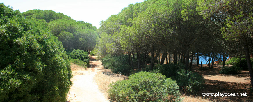 Access to Praia de João de Arens Beach