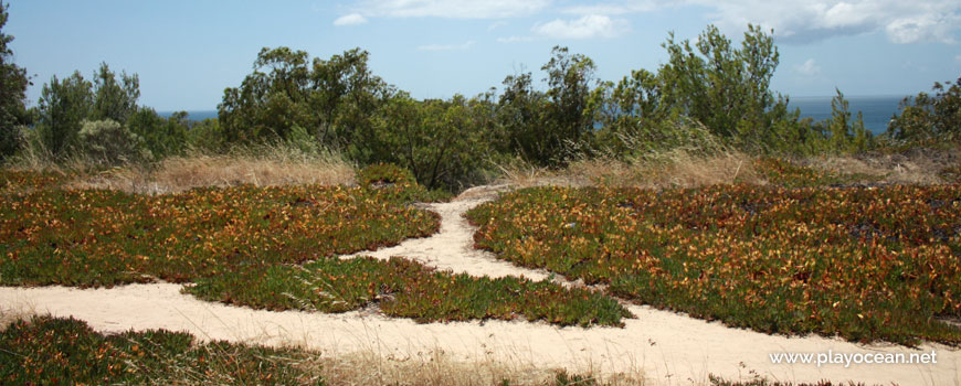 Access to Praia do Valentim de Carvalho Beach