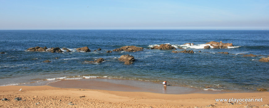 Sea of Praia de Gondarém Beach