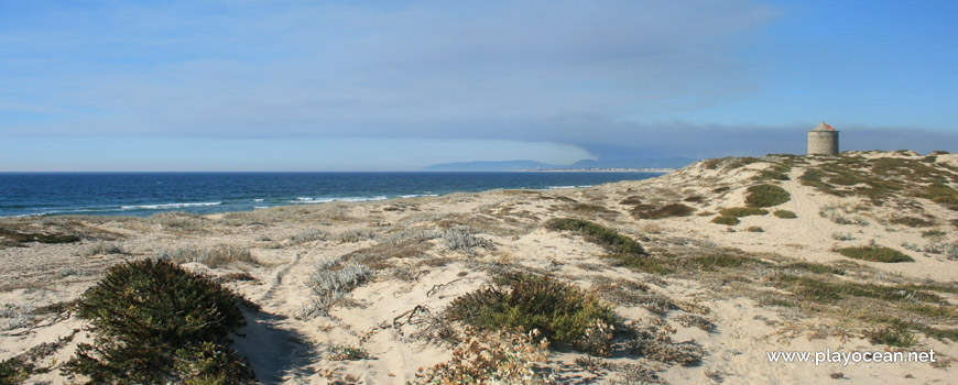 Dunas, Praia da Aguçadoura