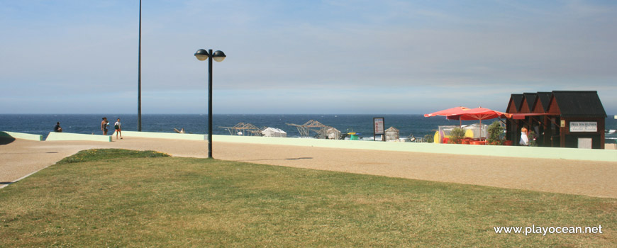 Lawn at Praia dos Beijinhos Beach