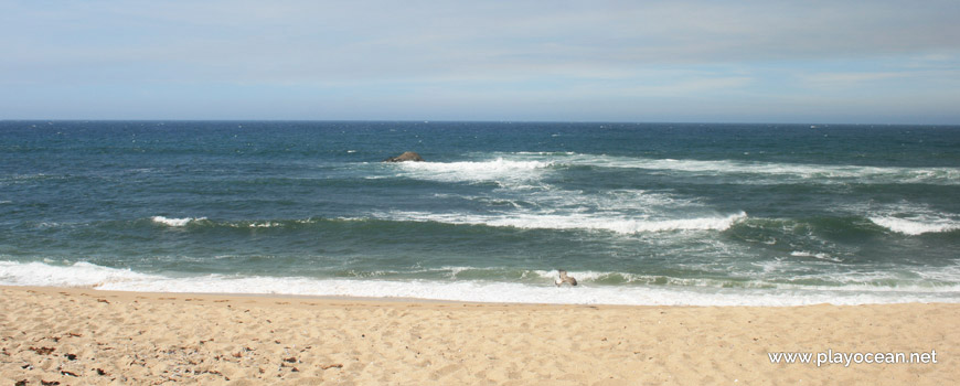 Bathing area, Praia do Carvalhido Beach