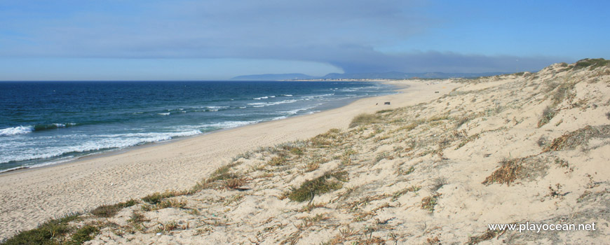 North of Praia da Codixeira Beach