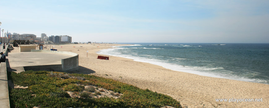 South of Praia de Coim Beach