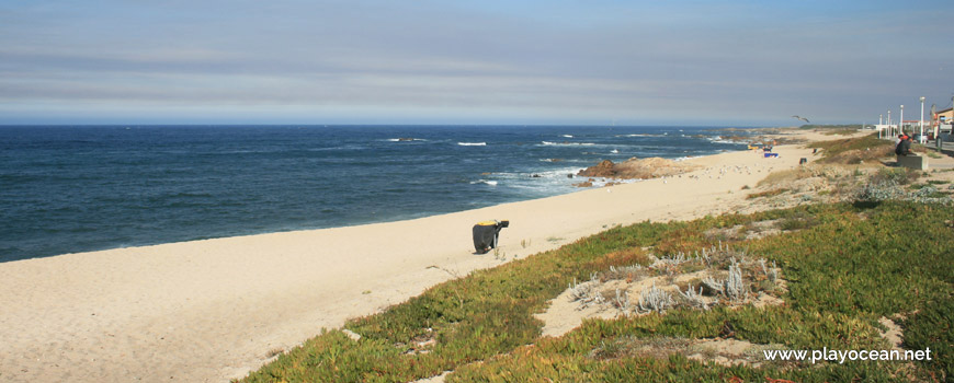 Praia de Coim Beach