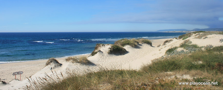 Dunes, Praia da Estela Beach