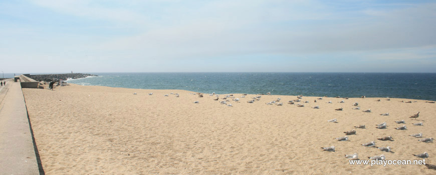 South of Praia do Leixão Beach