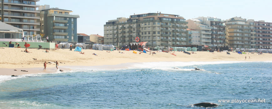 Praia da Salgueira Beach