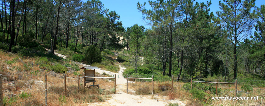 Trilho ascendente Praia das Areias Brancas