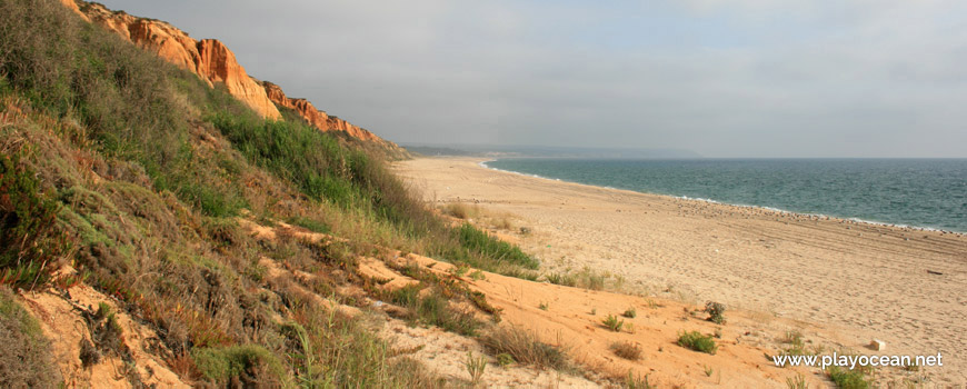 South of Praia dos Medos de Albufeira Beach