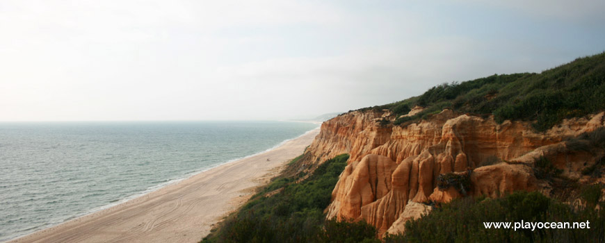 Norte, Arriba Fóssil da Costa da Caparica