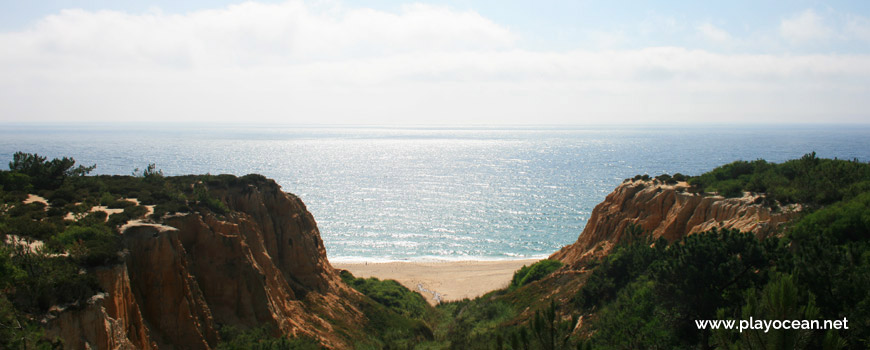 Ravine of Praia dos Olhos de Água Beach