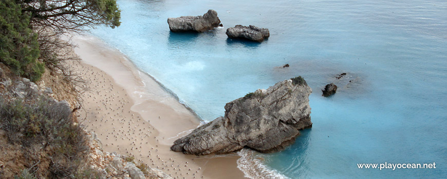 Seagulls at Praia da Ribeira do Cavalo Beach