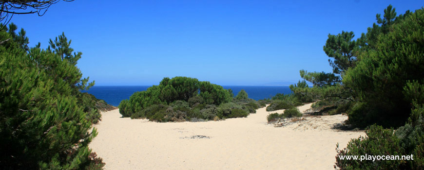 Trilho da Praia do Rio de Prata