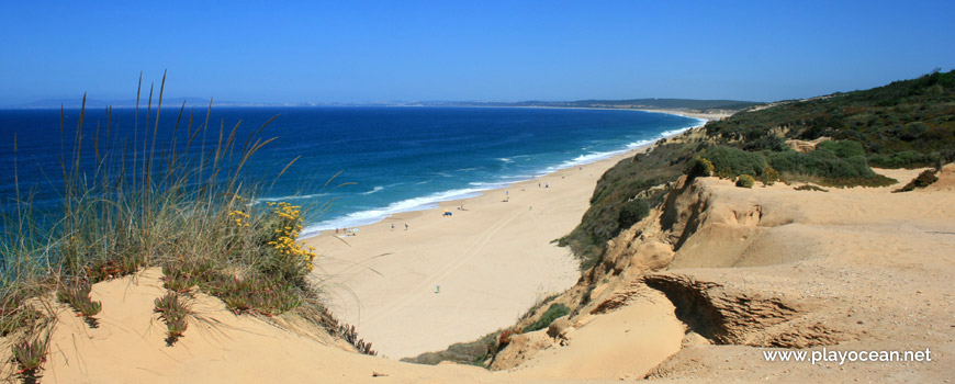 North, top of the cliff, Praia do Rio da Prata Beach