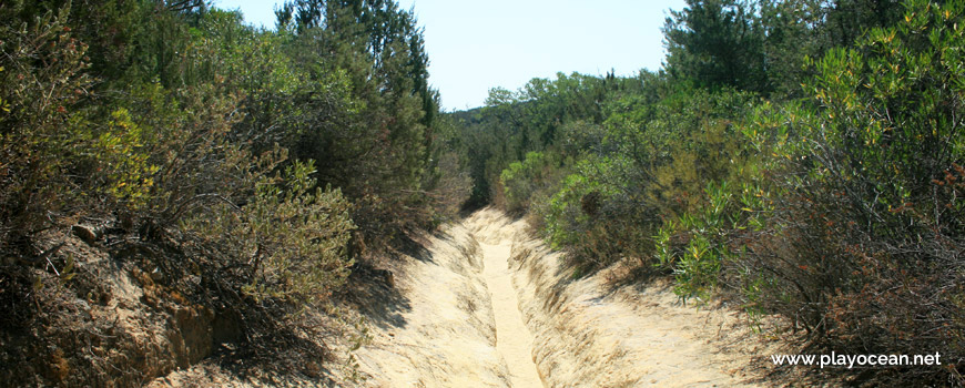 Acesso à Praia dos Coelhos