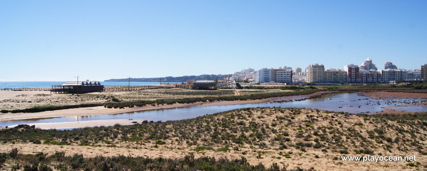 The Alcantarilha Stream