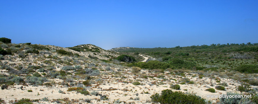 Dunes at Praia do Areão Beach