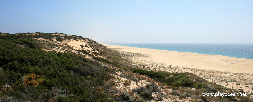 Sul Praia do Areão