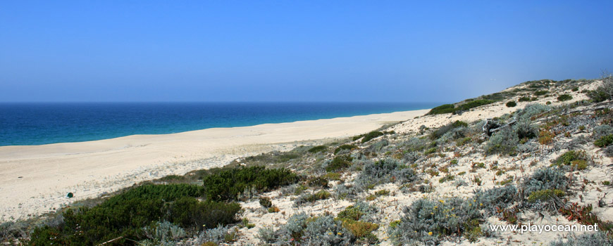 North dunes at Praia do Areão Beach