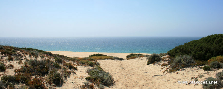 Trail to Praia do Areão Beach