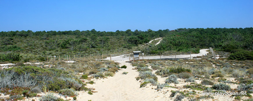 Access to Praia do Areão Beach